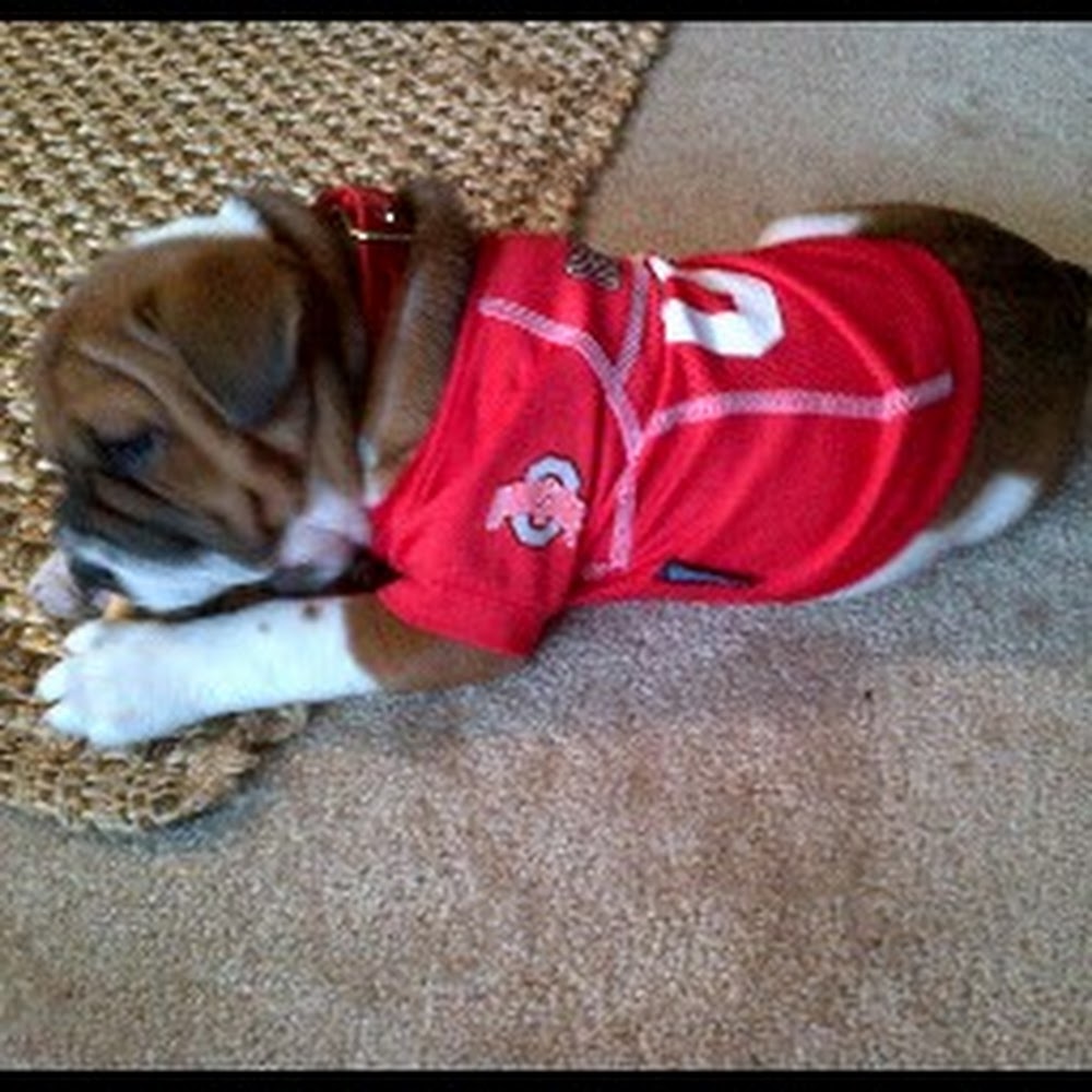 Meet your Posher, Alonna